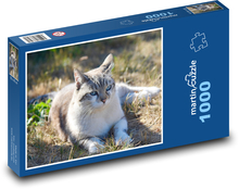 Toulavá kočka Puzzle 1000 - 60x46 cm