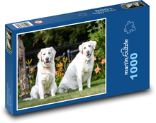 Labrador a retriever Puzzle 1000 dielikov - 60 x 46 cm