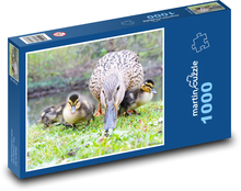 Vodní ptactvo - kachňata Puzzle 1000 dílků - 60 x 46 cm