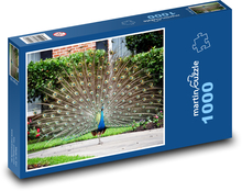 Vták - páv Puzzle 1000 dielikov - 60 x 46 cm 