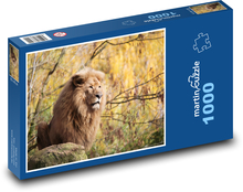 Lev - zviera Puzzle 1000 dielikov - 60 x 46 cm 