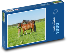 Herd of horses Puzzle 1000 pieces - 60 x 46 cm