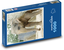 Slon indický Puzzle 1000 - 60x46 cm
