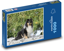 Shetlandský ovčiak Puzzle 1000 dielikov - 60 x 46 cm 