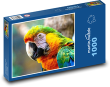 Bird - parrot Puzzle 1000 pieces - 60 x 46 cm 