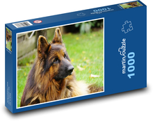 Pastiersky pes Puzzle 1000 dielikov - 60 x 46 cm 