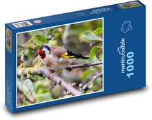 Pták - stehlík Puzzle 1000 dílků - 60 x 46 cm