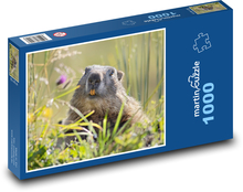 Alpy - svišť Puzzle 1000 dielikov - 60 x 46 cm 