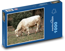 Cow - farm animal Puzzle 1000 pieces - 60 x 46 cm 