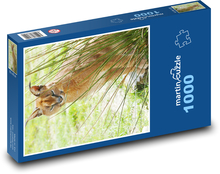 Caracal - šelma Puzzle 1000 dielikov - 60 x 46 cm 