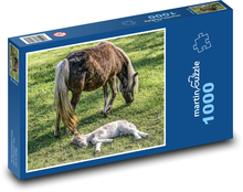 Stute - Fohlen Puzzle 1000 Teile - 60 x 46 cm