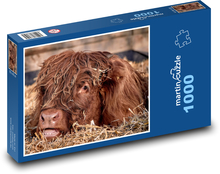 Cow - young cattle Puzzle 1000 pieces - 60 x 46 cm 
