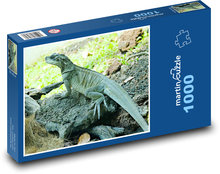 Jaszczurka - agama Puzzle 1000 elementów - 60x46 cm