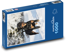 Rottweiler - Hund im Schnee Puzzle 1000 Teile - 60 x 46 cm