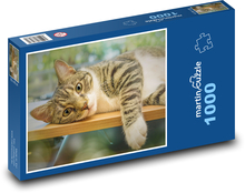 Cute cat Puzzle 1000 pieces - 60 x 46 cm 