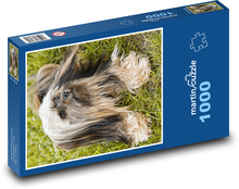 Pes - mazlíček Puzzle 1000 dílků - 60 x 46 cm