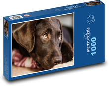 Labradorský pes Puzzle 1000 dielikov - 60 x 46 cm 