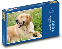 Golden Retriever Puzzle 1000 pieces - 60 x 46 cm 