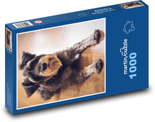 Pes - bradáč Puzzle 1000 dielikov - 60 x 46 cm 