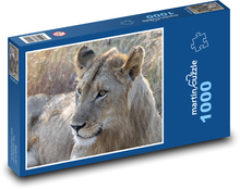 Lvice - divoké zvíře Puzzle 1000 - 60x46 cm