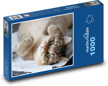 Katze - Haustier Puzzle 1000 Teile - 60 x 46 cm