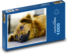 Roztomilý pes Puzzle 1000 dílků - 60 x 46 cm