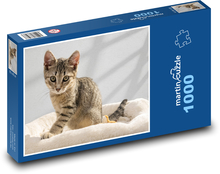 Európska krátkosrstá Puzzle 1000 dielikov - 60 x 46 cm 