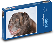 Retriever - pes Puzzle 1000 dielikov - 60 x 46 cm 