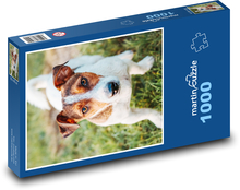 Jack russel - pes Puzzle 1000 dielikov - 60 x 46 cm 