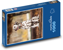 Dalmatín - pes Puzzle 1000 dielikov - 60 x 46 cm 