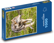 Vlk - cicavec Puzzle 1000 dielikov - 60 x 46 cm