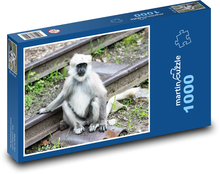 Opica - makak Puzzle 1000 dielikov - 60 x 46 cm 