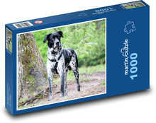 Německý ohař - krátkosrstý Puzzle 1000 - 60x46 cm
