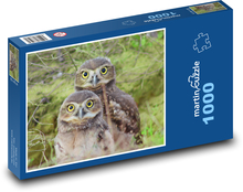 Sowy - las Puzzle 1000 elementów - 60x46 cm