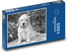 Pes - štěně Puzzle 1000 dílků - 60 x 46 cm