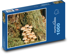 Příroda - houby Puzzle 1000 dílků - 60 x 46 cm