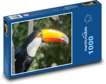 Ptak - Tukan Puzzle 1000 elementów - 60x46 cm