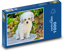 Pies boloński Puzzle 1000 elementów - 60x46 cm