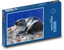 Meeresfrüchte - Seelöwe Puzzle 1000 Teile - 60 x 46 cm