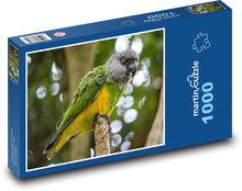 Papagáj - vták Puzzle 1000 dielikov - 60 x 46 cm 