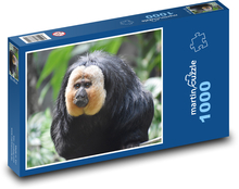 Whitening tail - monkey Puzzle 1000 pieces - 60 x 46 cm 