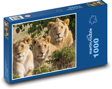 Löwe - Tier Puzzle 1000 Teile - 60 x 46 cm