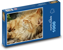 Mačka - domáce zviera Puzzle 1000 dielikov - 60 x 46 cm 