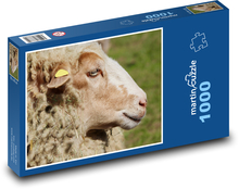 Ovce - domácí zvíře  Puzzle 1000 dílků - 60 x 46 cm