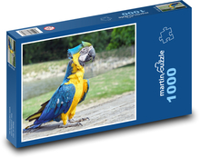 Papuga - ptak Puzzle 1000 elementów - 60x46 cm