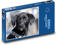 Labrador - Hund, Welpe Puzzle 1000 Teile - 60 x 46 cm