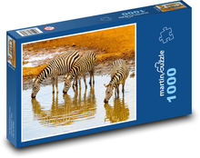Keňa - zebry Puzzle 1000 dielikov - 60 x 46 cm 