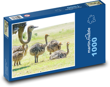 Pštros s mláďaty Puzzle 1000 dílků - 60 x 46 cm