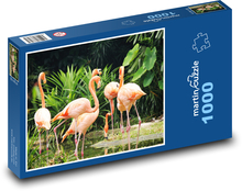 Plameňáci Puzzle 1000 dílků - 60 x 46 cm