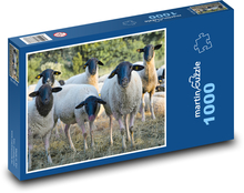 Stádo oviec Puzzle 1000 dielikov - 60 x 46 cm 